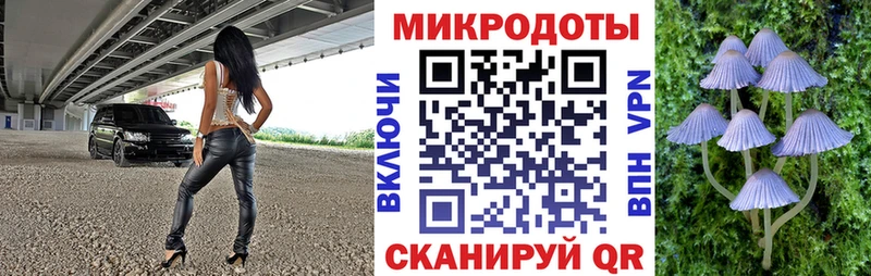 блэк спрут зеркало  Новосокольники  Галлюциногенные грибы Psilocybe 
