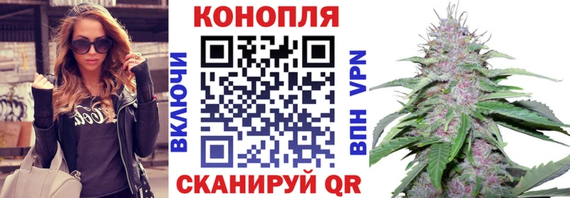 Бошки Шишки сатива  мега tor  Новосокольники 